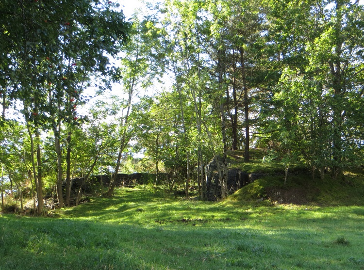 IMG_8299.jpg