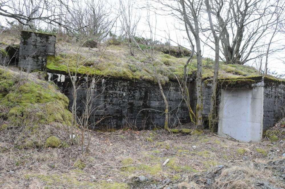 Rønsberget