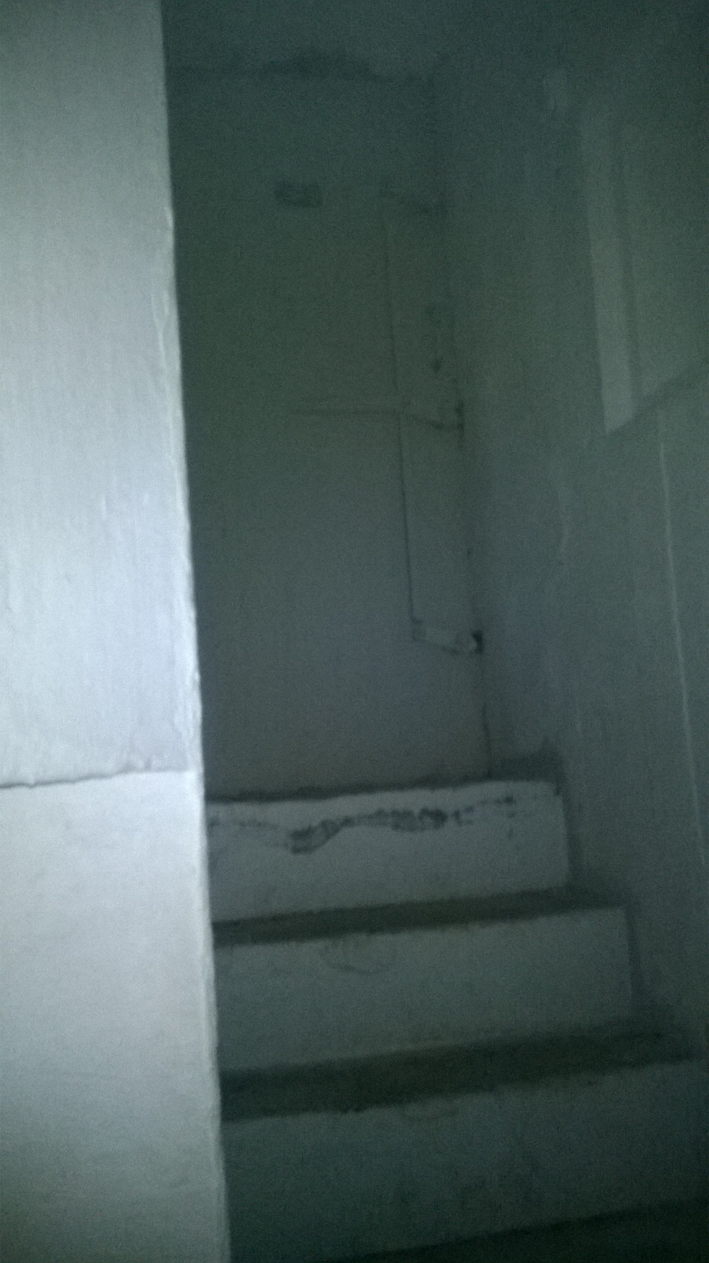 WP_20150527_007.jpg