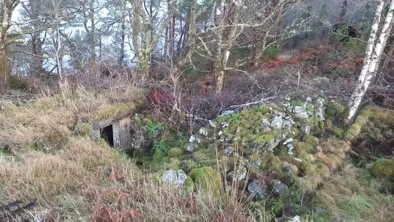 nedenfor samme flakstilling ligger en liten  bunker(lukket) . trappen går direkte fra flak stillingen ned til denne bunkeren.jpg