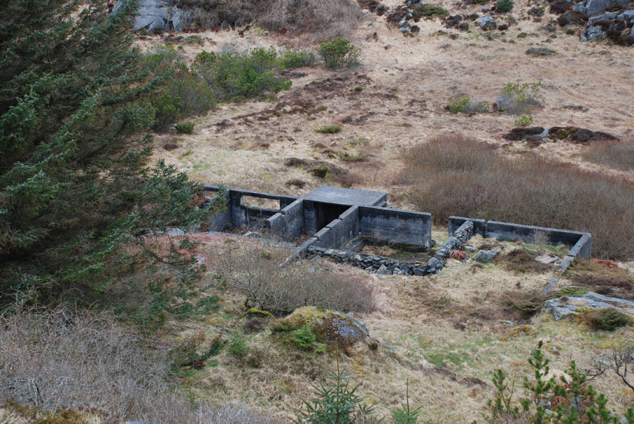 brakke-1.jpg