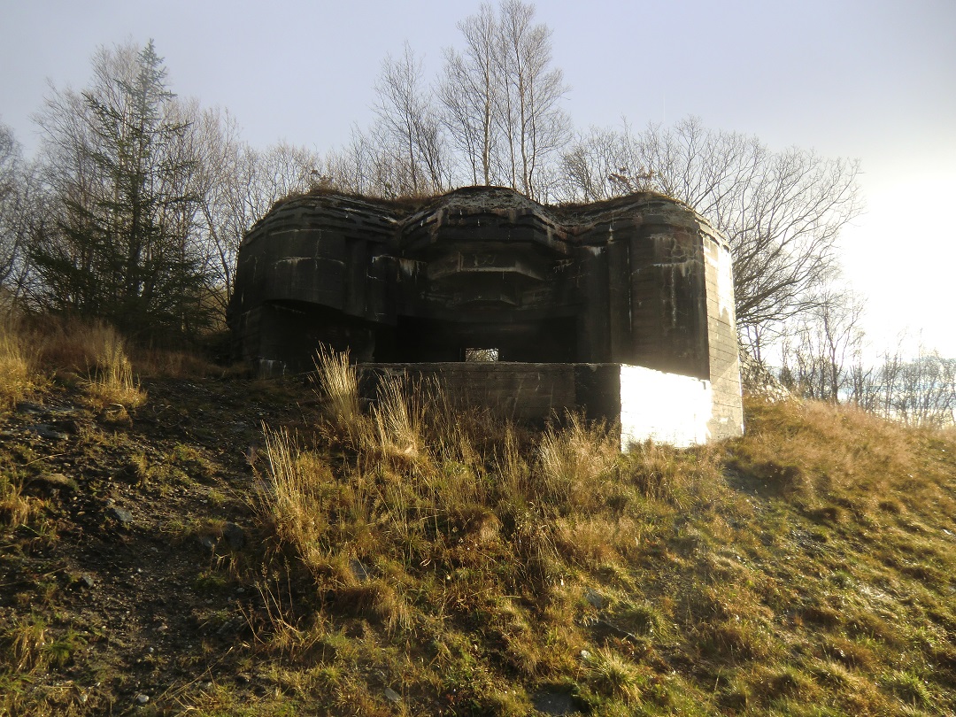 CIMG0373a.jpg