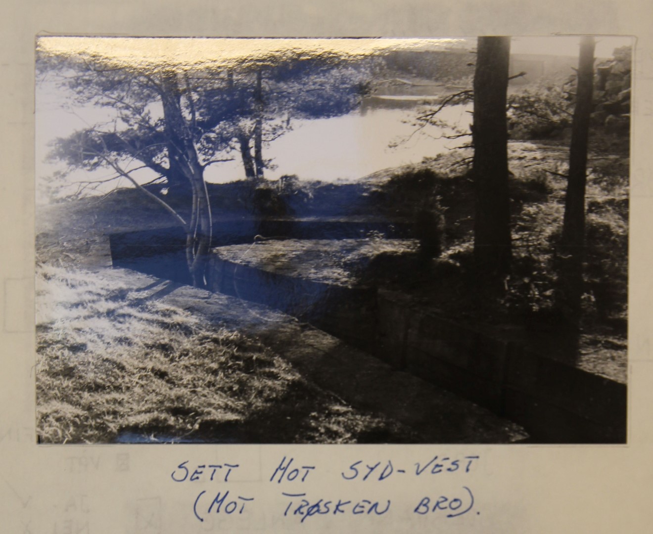 Trøsken-3.jpg