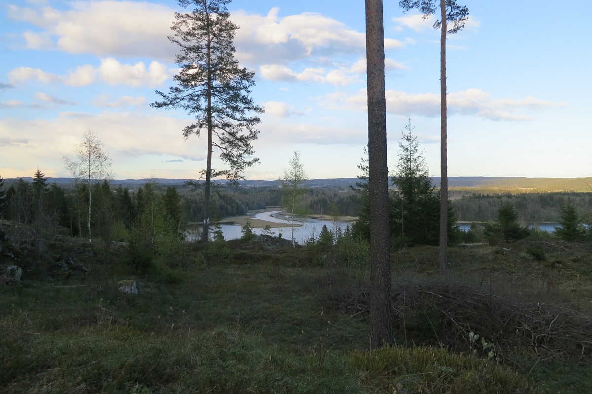 IMG_0345.JPG