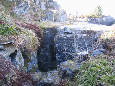 Falkenhorstbunker like bak Gefechtsstand