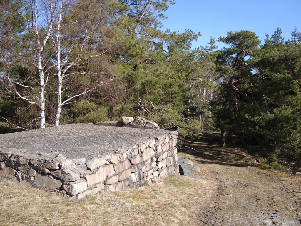 DSC02500-komp.JPG