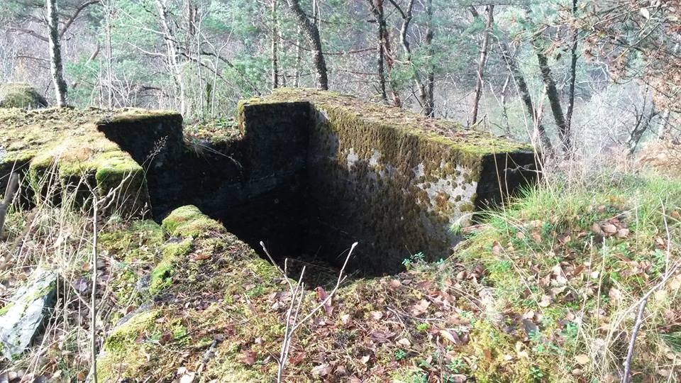 mg bunker hetleflåten  sør, vest  og østlig skyteskår.jpg