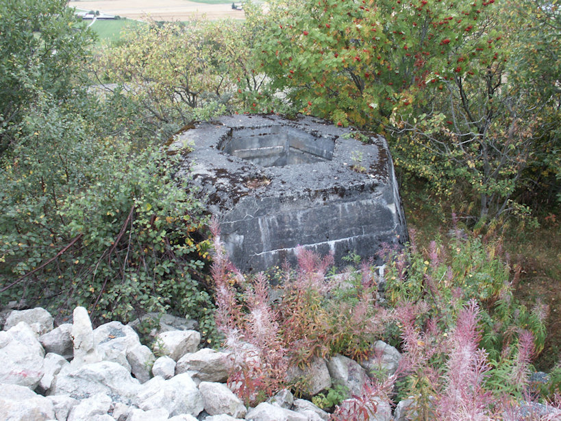 Opphaug Lerbern WR Sockel (01).JPG