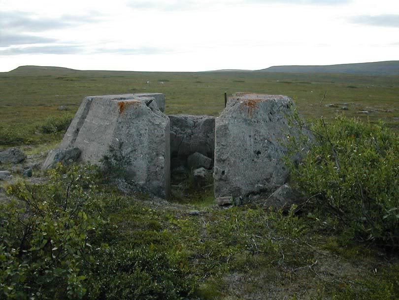 Svanevann01.JPG
