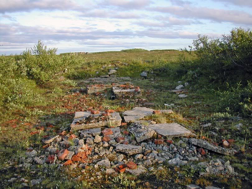 Svanevann03.JPG