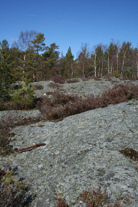 Rester av gjerdebolter, det har trolig vært flere sperrelinjer innenfor fortet, men det er vanskelig å få et totalt bilde over dette.