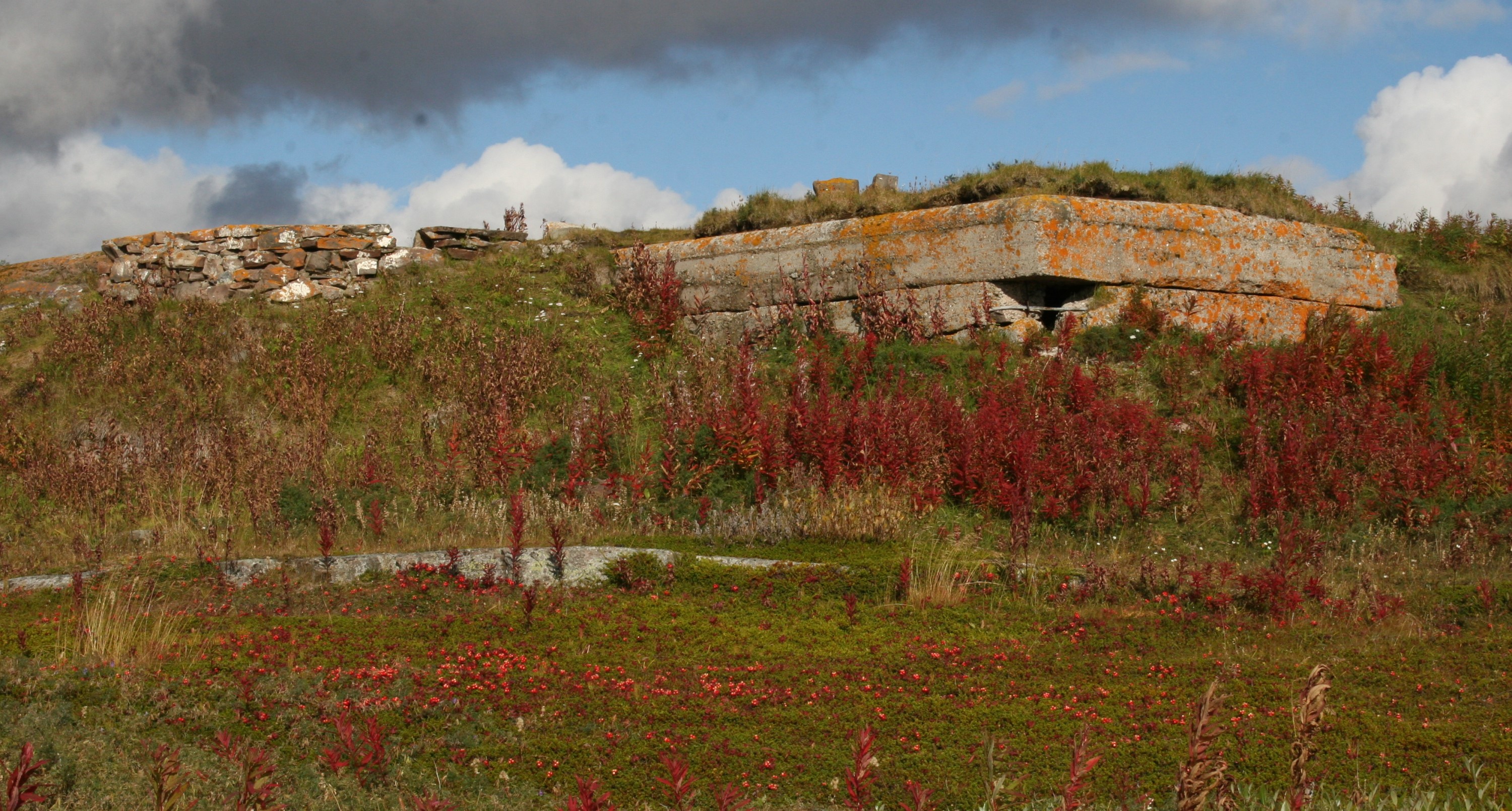 Vadsø fjorhotell -2.jpg