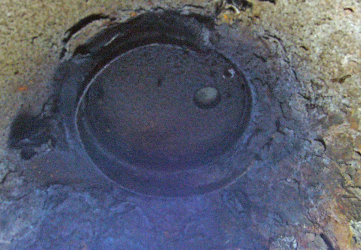P1090745.jpg