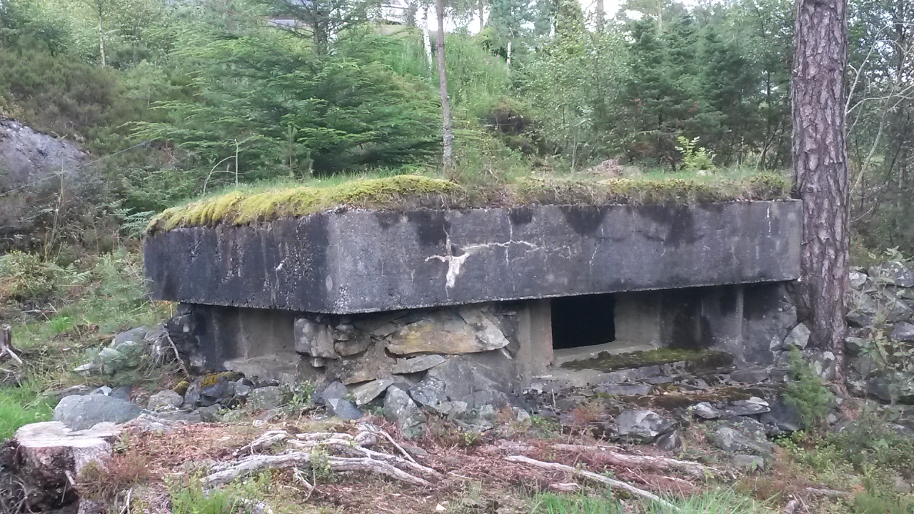 Mg bunker 2