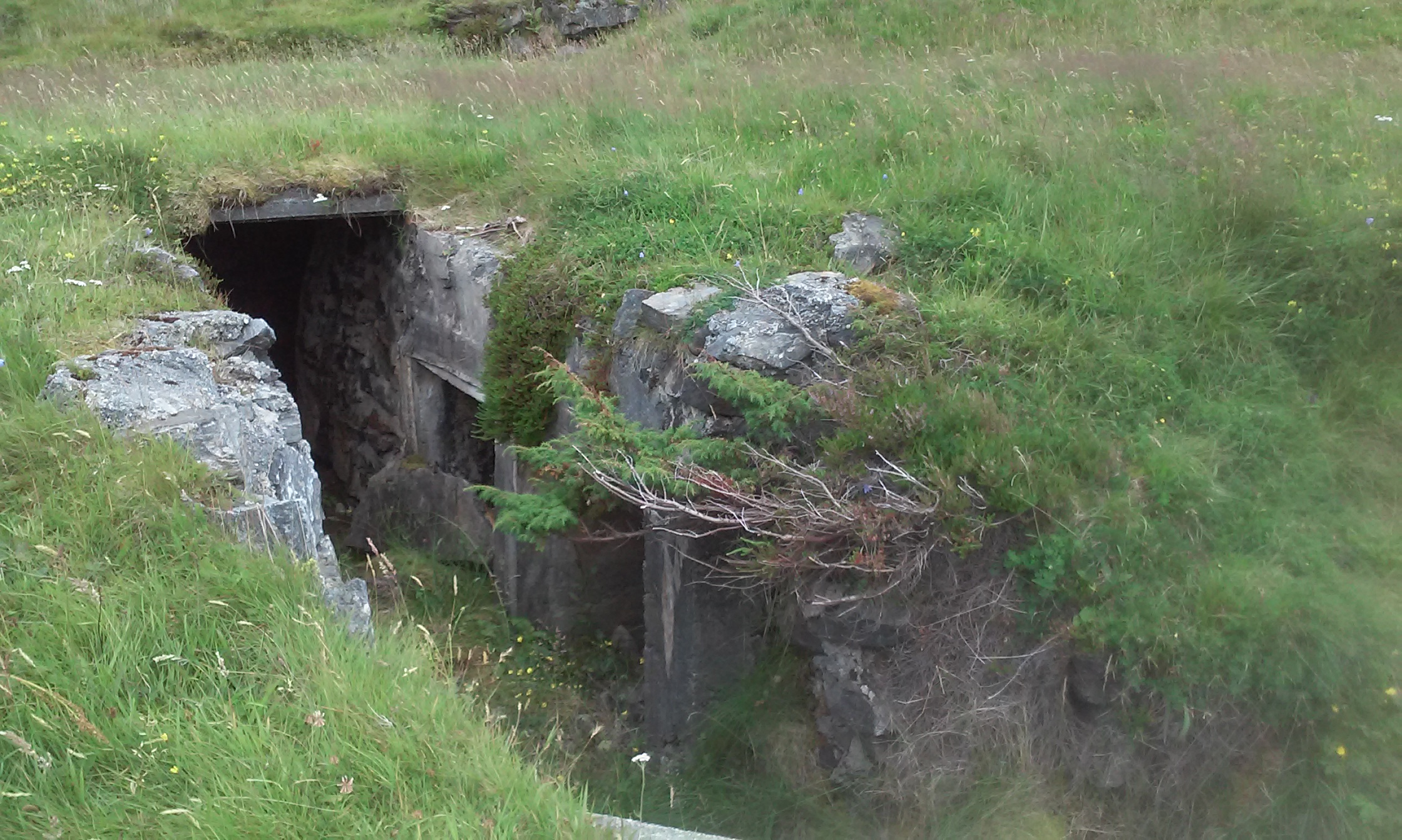 Ene av 2 graver med bunker bak.