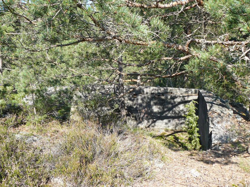 Fant noen av disse stillingen bak fortet, men også sørover ved Breisand. En av de bak fortet hadde gjengede fester i sporene.