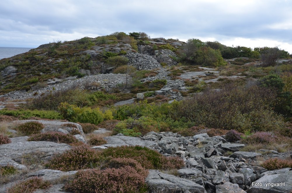 Mye sprengstein over hele området