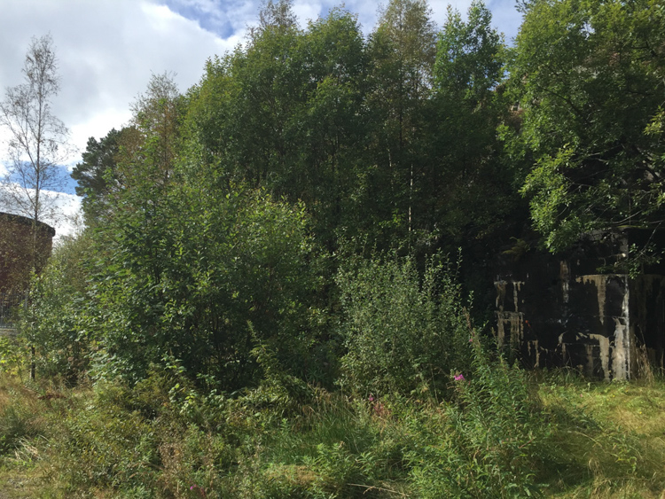 Høydebasseng og bunker. Gjenmurt.