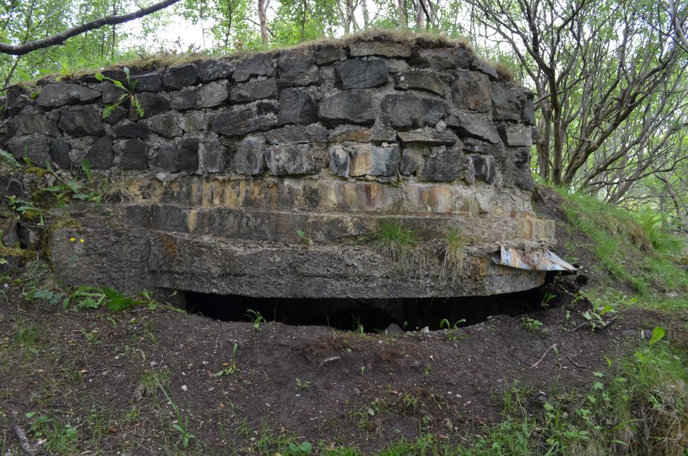 1-DSC_0252.JPG