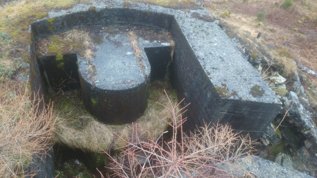 DSC_0941.jpg