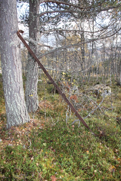 tårnhaugen (8).JPG