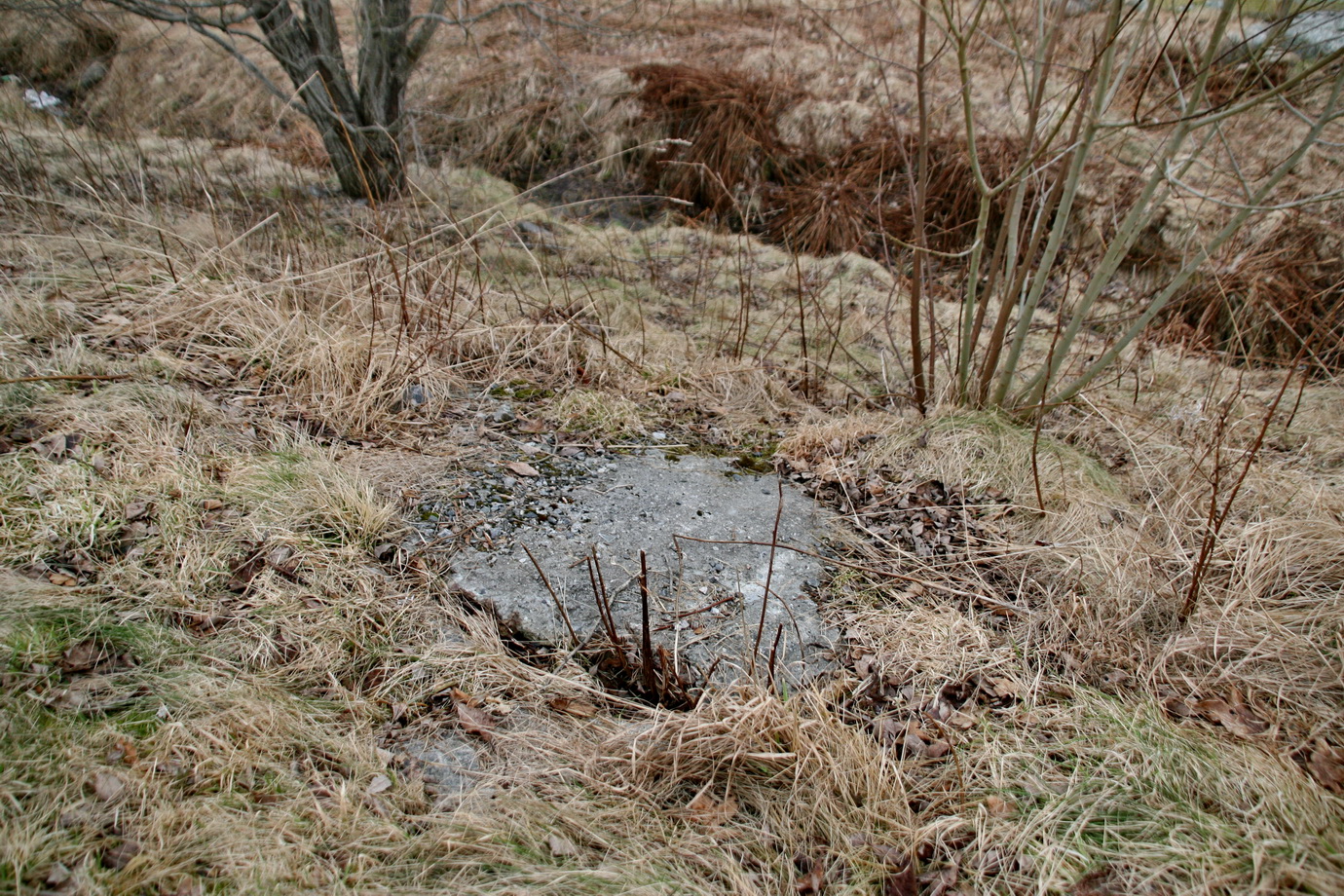 Overgrodd betong nede i bakken v. golfbane. Rester av rasert bunker?