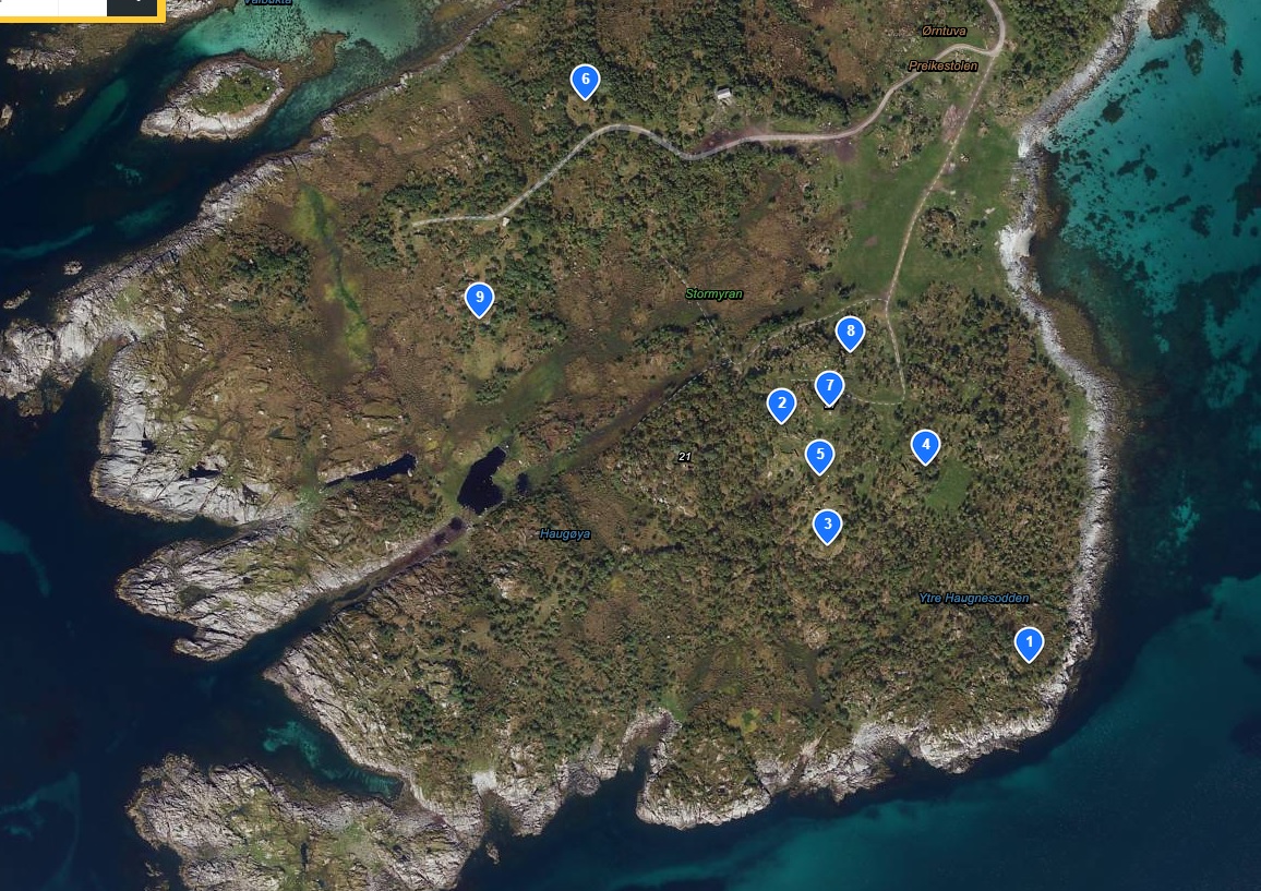 Rester av batteriet på Haugøya utenfor Melbu. HKB 46/973