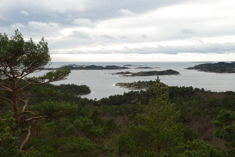 DSC_0209.JPG