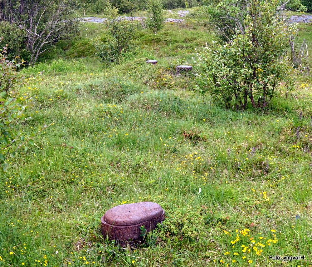 1-DSC_0205.JPG