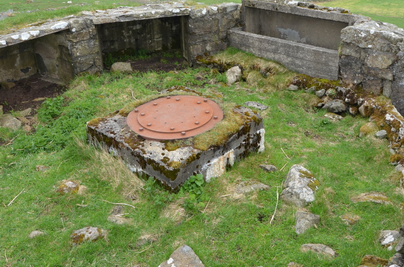 DSC_0193.JPG