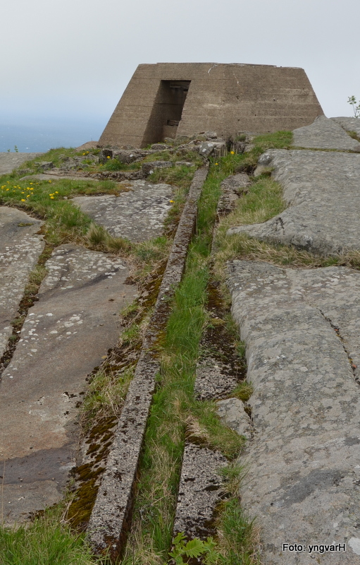 DSC_0164.JPG