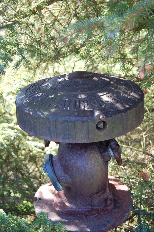 En enslig brannhydrant står glemt i et buskas. Fin å se på, synd den ikke blir bevart.