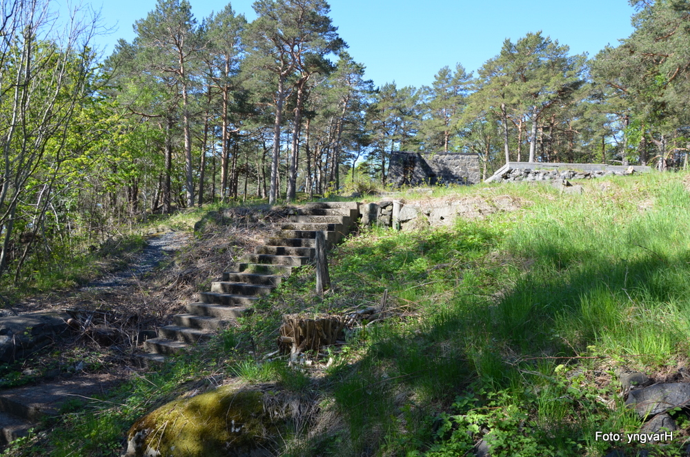 kratt og små trær er fjernet