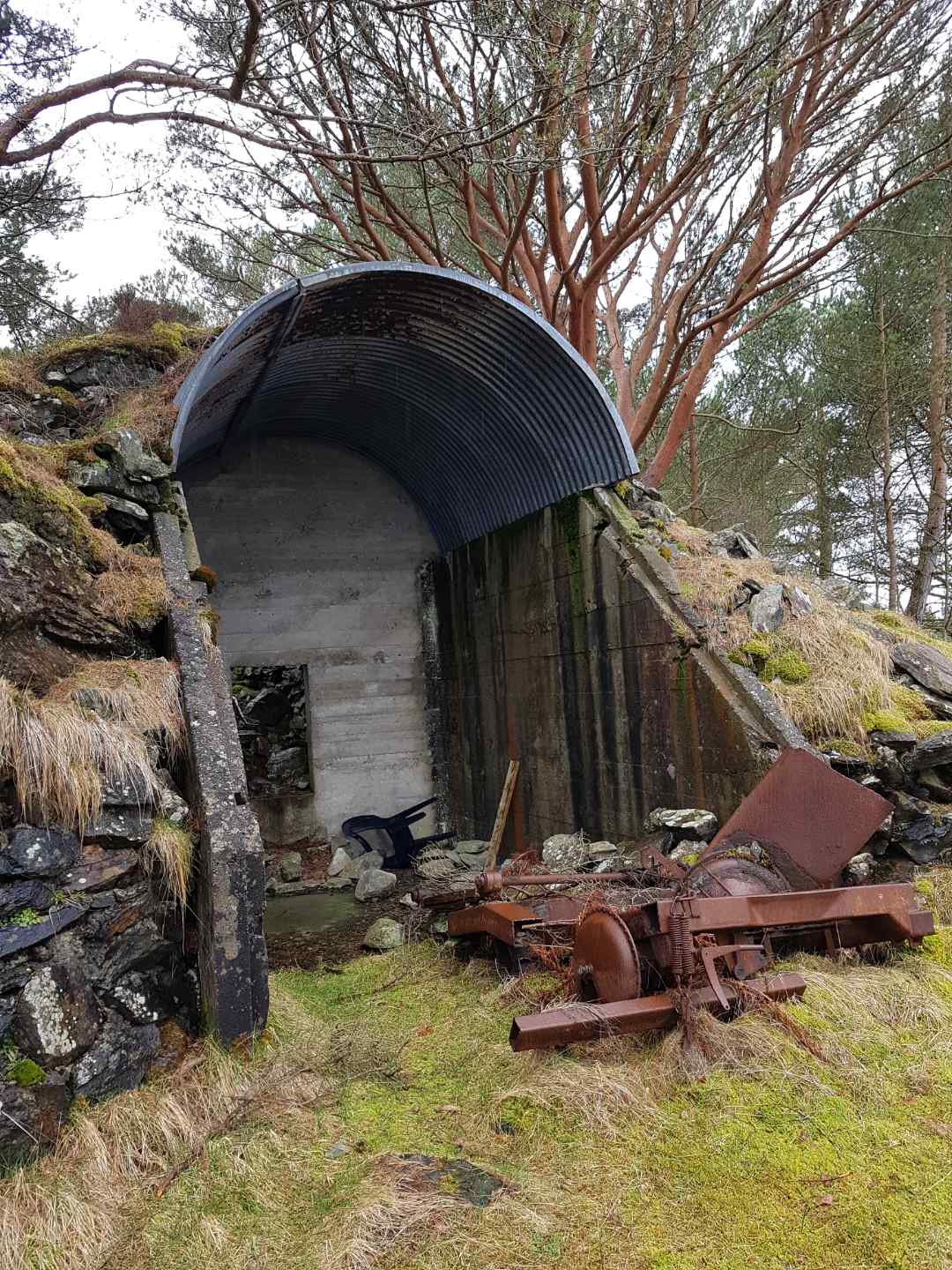 304.jpg