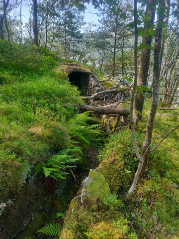 mg bunker