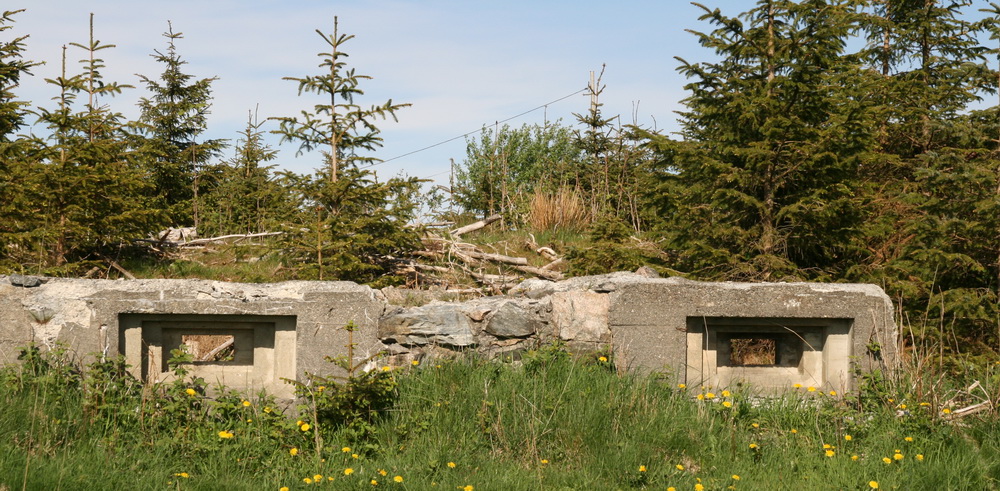 På en øy rett nord for Askøy (gravemaskinen som anlegger gang- og sykkelvei står 15m unna, så denne er vel borte om et par dager) (2008-05-12).