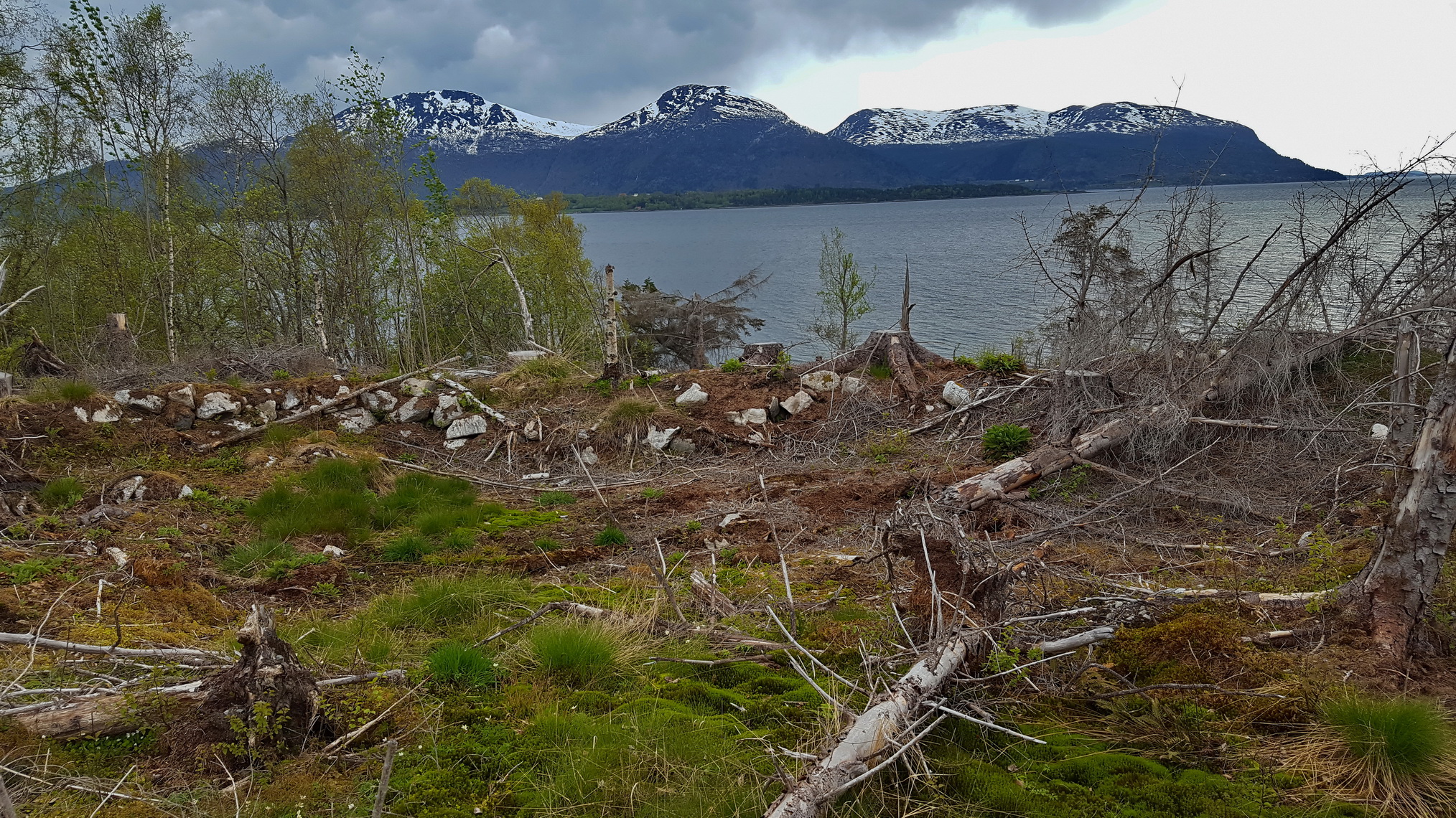 En av de orginale stillingene ovenfor fjøra.