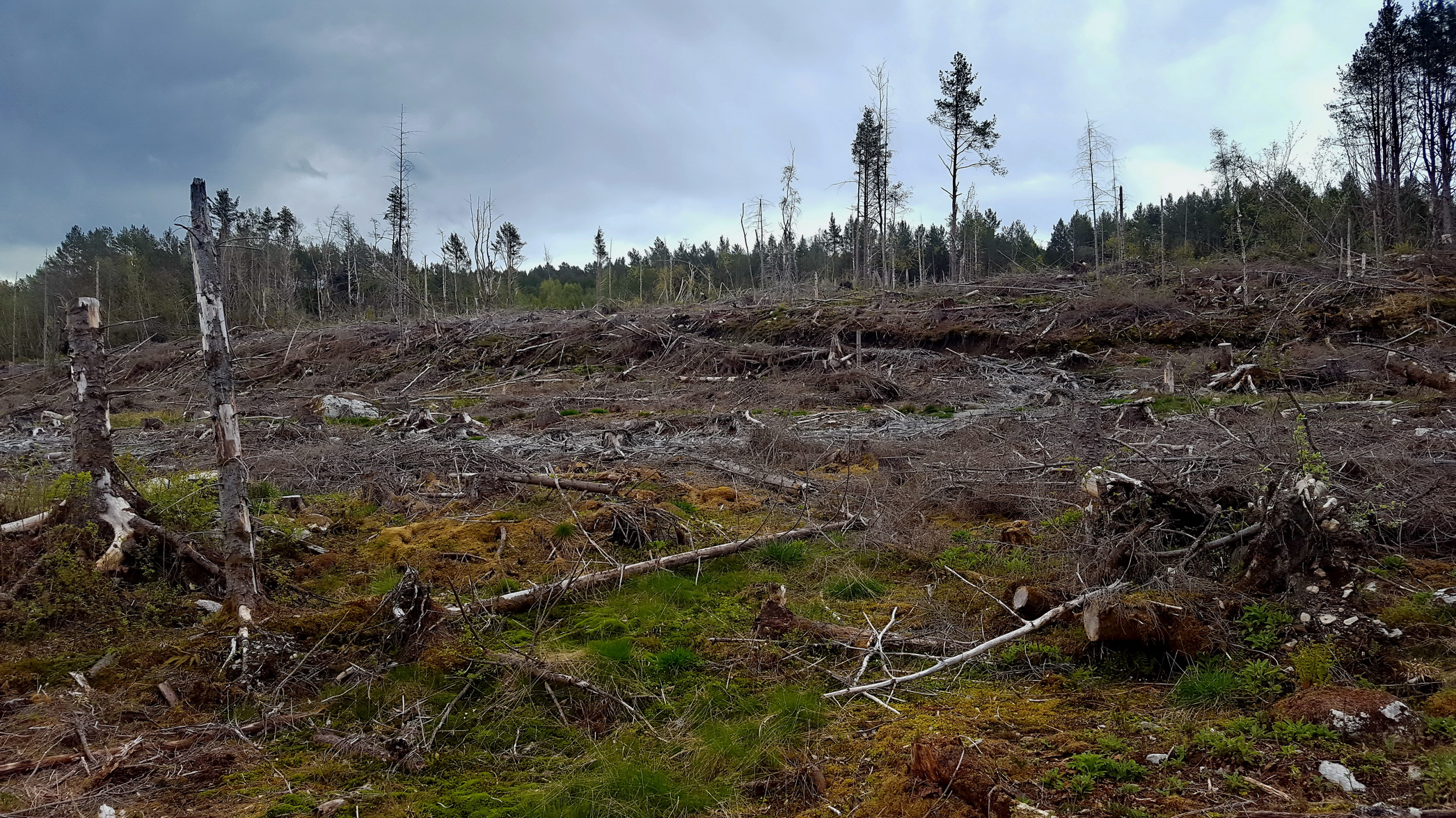 Opp mot vegen og de nyere kanonstillingene.<br />Nedenfor &quot;skrenten&quot; var der grav ut anti-tank grop for å hindre eventuell landgang.