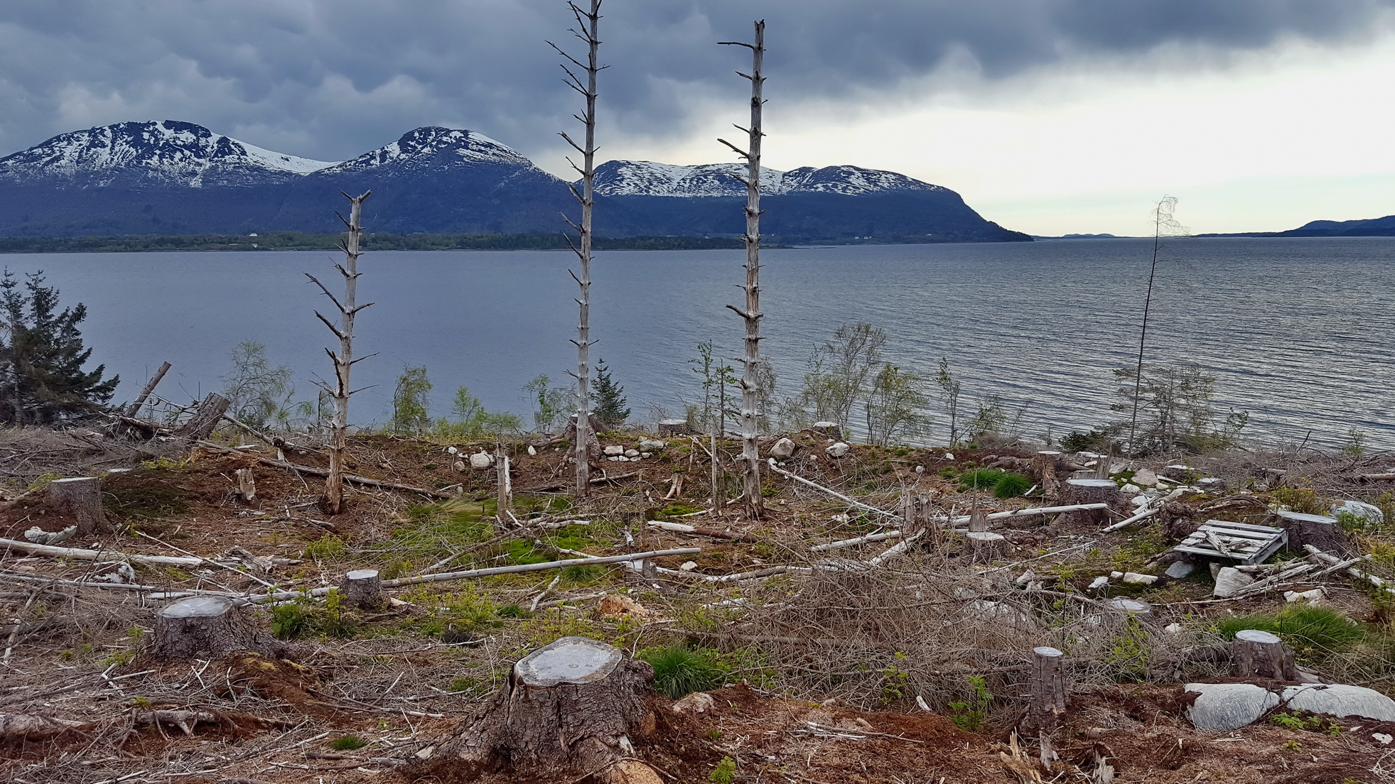 En av de to stillingene som var mest intakt. Brystvernet er i kalkstein og jord ser det ut som. Mye kalkstein i området.