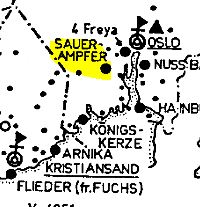 Sauerampfer Freya 00.JPG