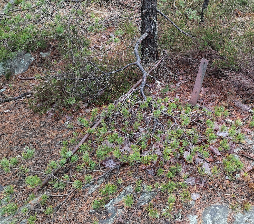 Fundament m/støttestag for stolpe