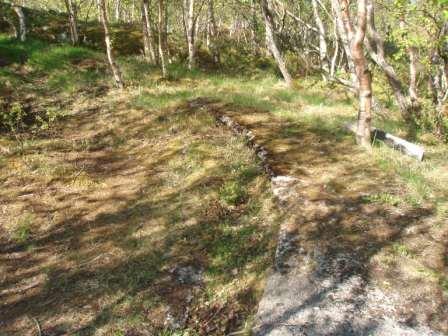 To slike store sirkler var ved stedet