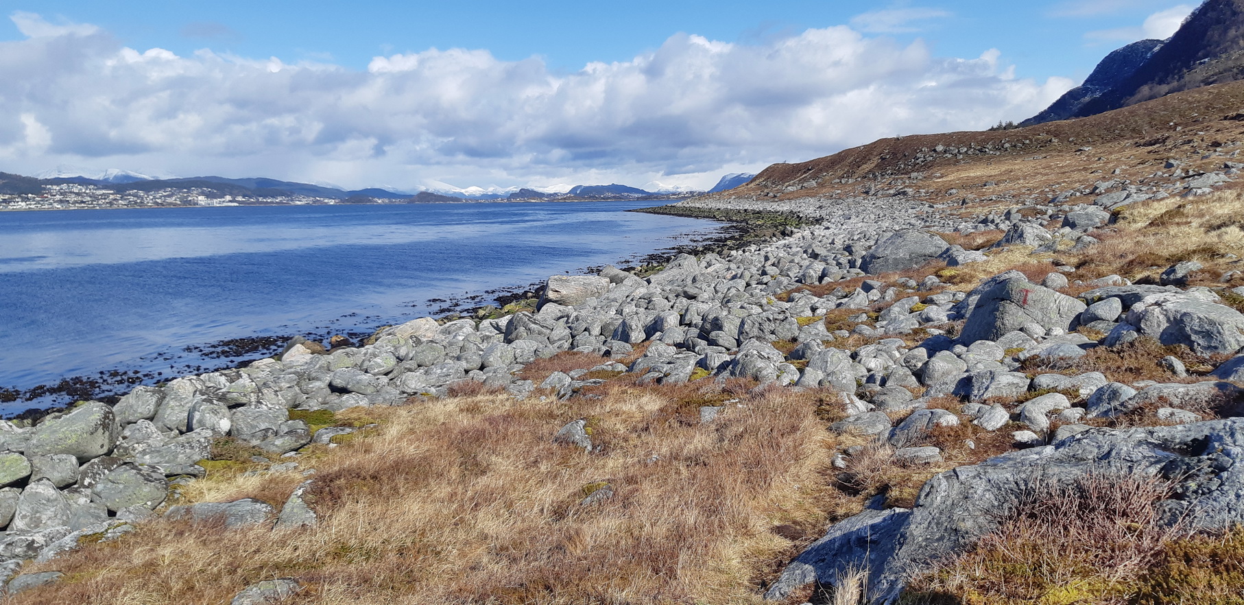 Flyet som ble nedskutt skal ha blitt dradd på land i dette området.