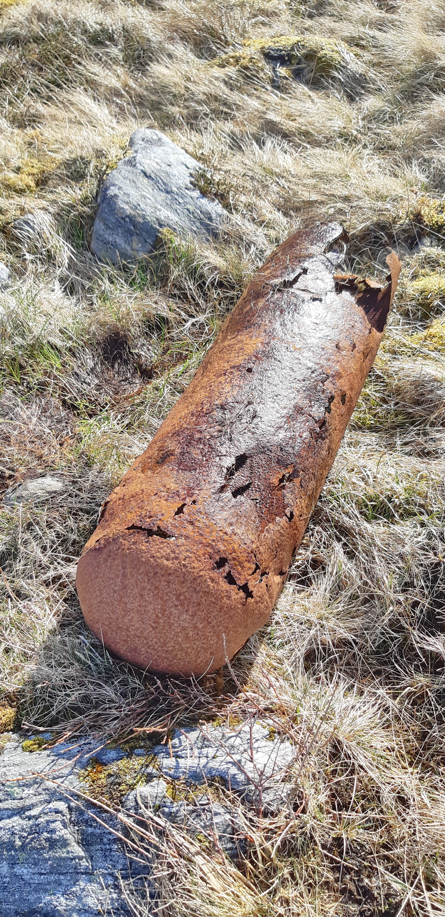 På avstand trodde jeg dette var en torpedo. Rester fra fly?