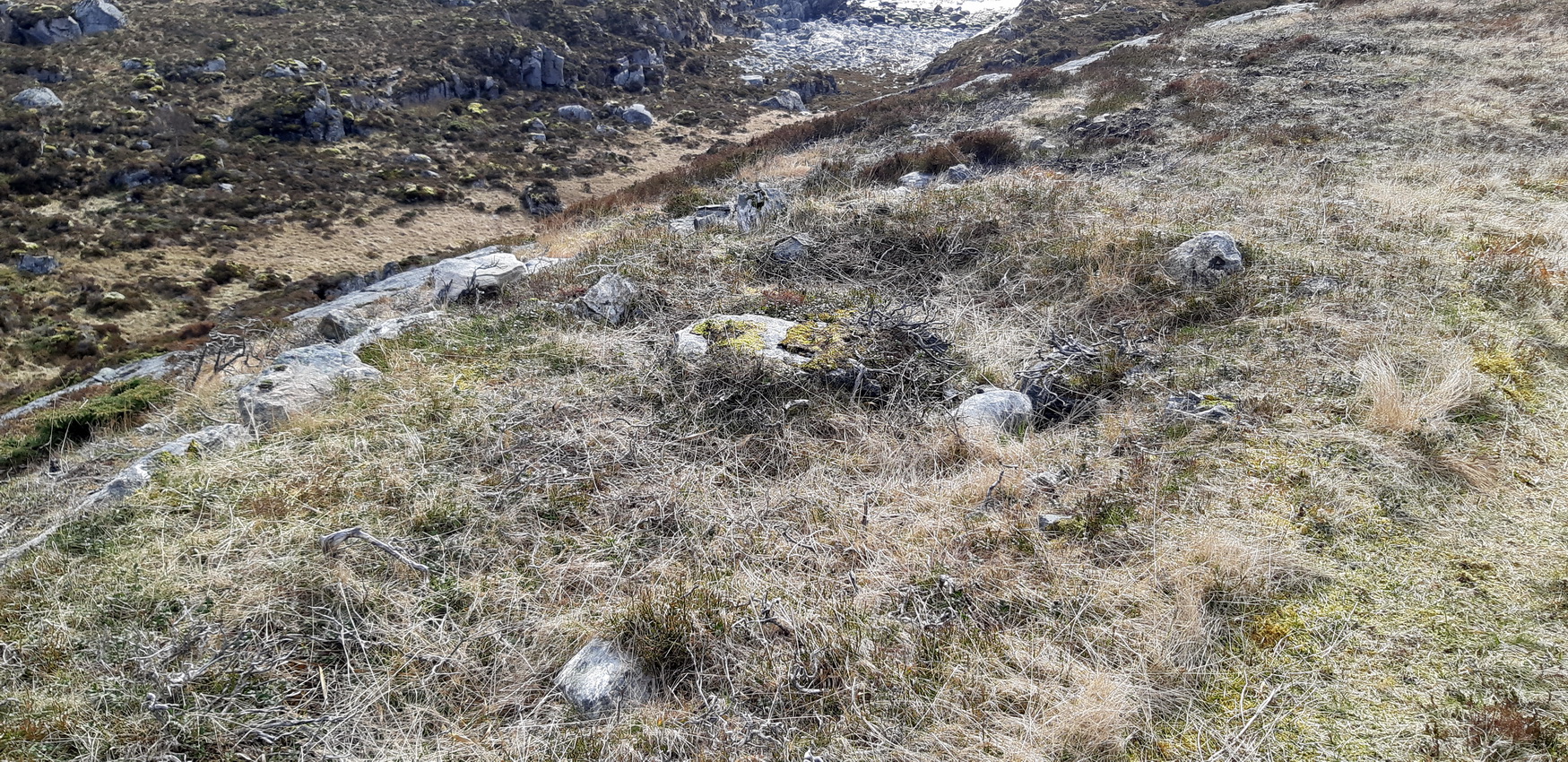 Rester etter rasert nærforsvar, eventuelt  luftvern (mg i luftvernoppsett, 2cm?) 15 meter unna brakken. Feltmessig utført med brystvern i naturstein, som er rasert.