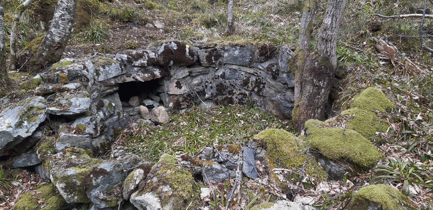 Nærforsvar/2cm/Bombekaster-stilling?