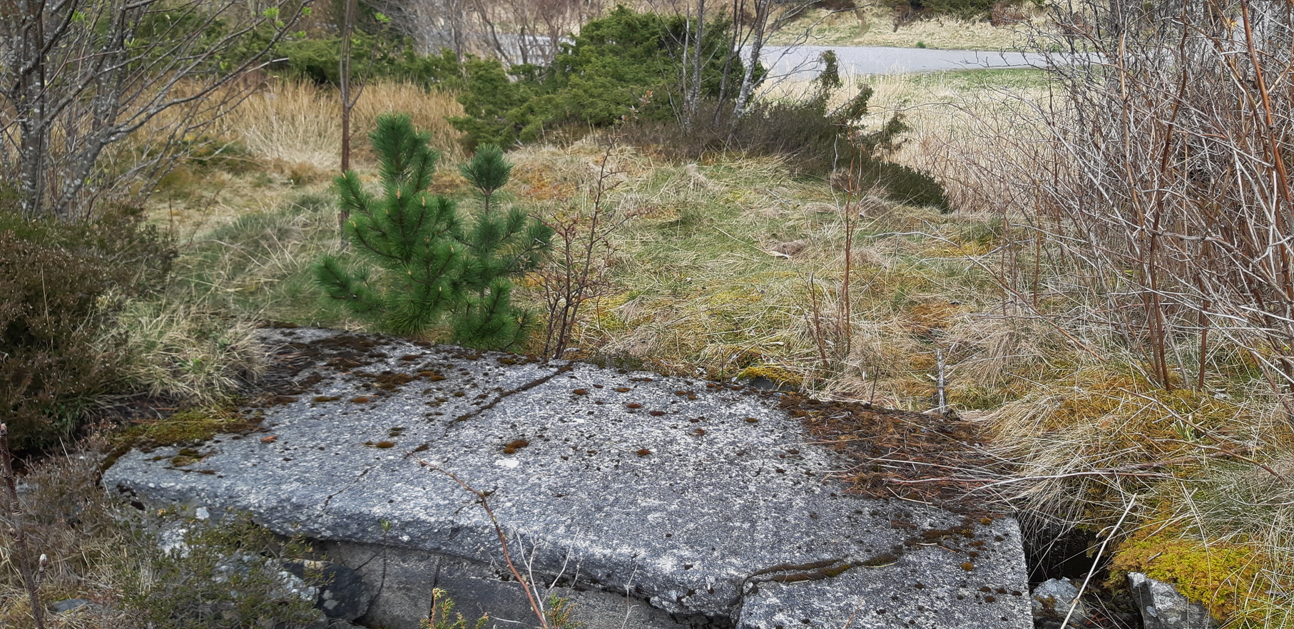 Bildet er tatt fra stillingen for sentralsikte mot oppstillingsplassen. Betongen vi ser, er tak på ett av &quot;skapene&quot; fremme i stillingen-