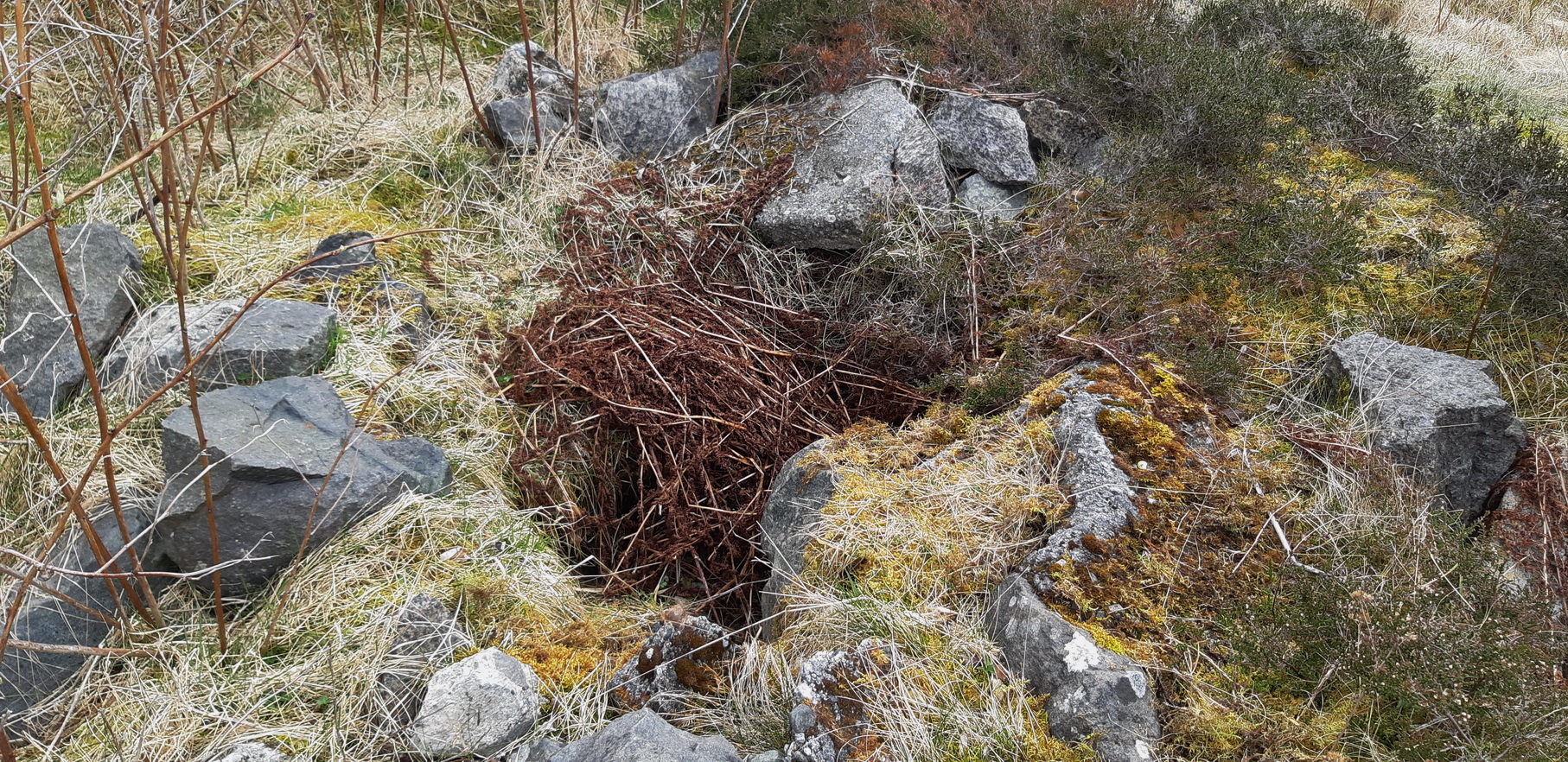 Muren rundt 2cm-stillingen var i naturstein og betong med flere små &quot;skap&quot;/ammonisjer i sidene for ammunisjon. Alt &quot;skuflet&quot; nedi her...