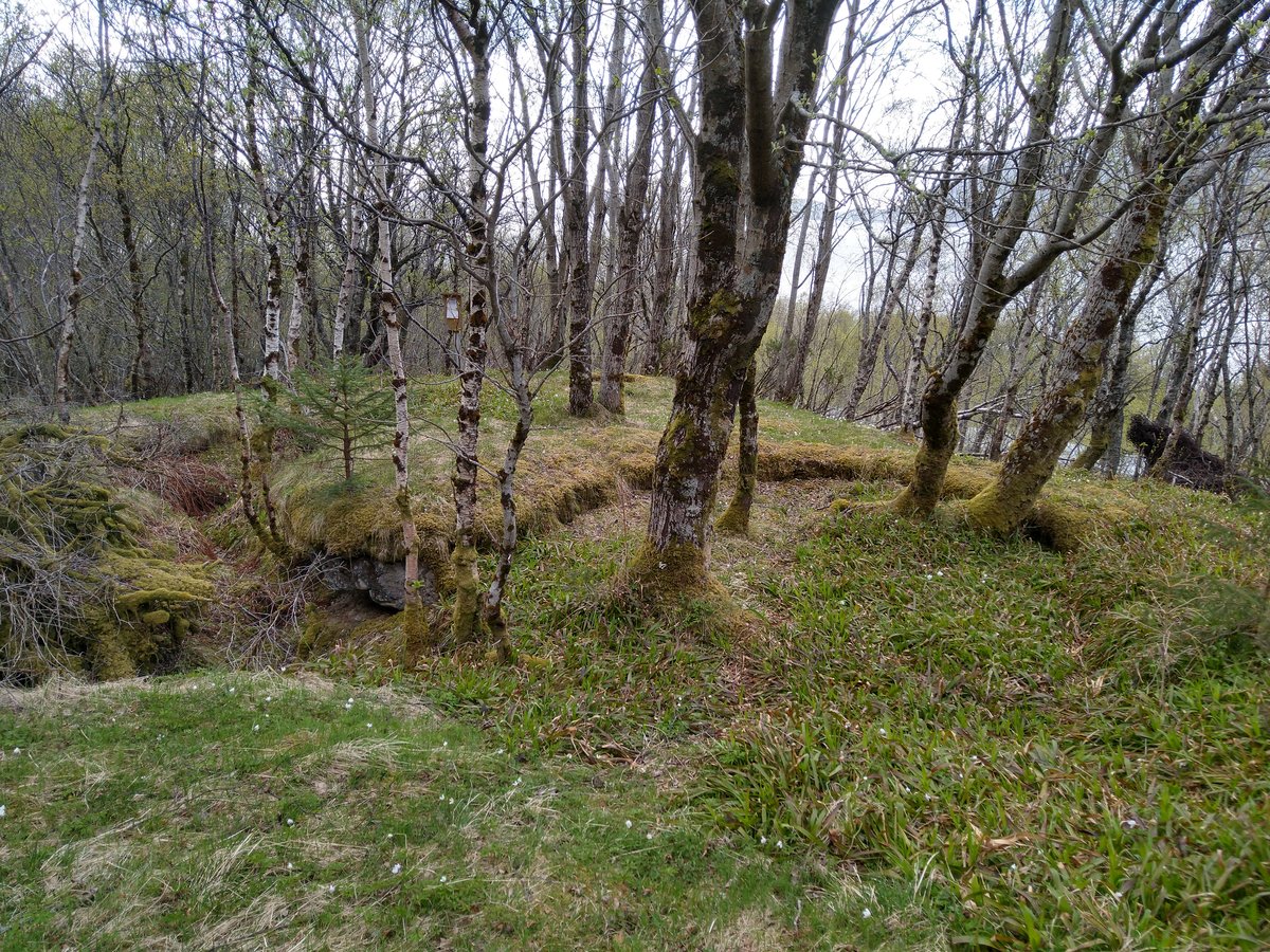 25.Panservernkanon, fylkesvei skimtes nedi skogen.