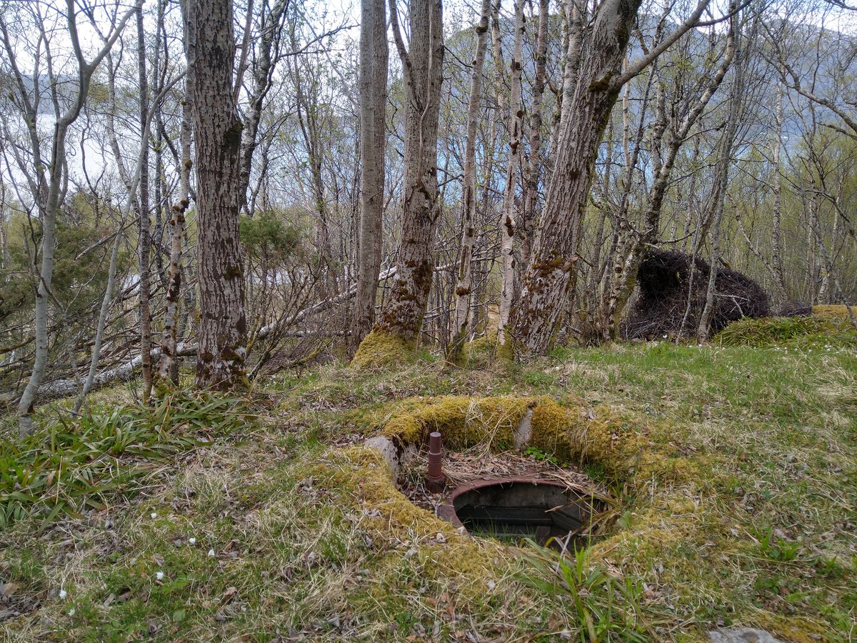 24. MG-stilling, fylkesvei rett nedi skogen.